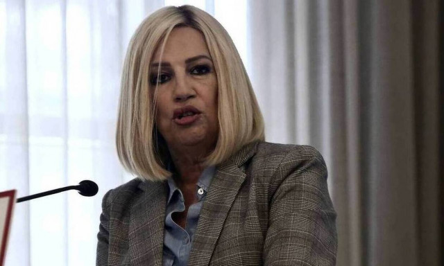 Γεννηματά με τον πρόεδρο του Ευρωκοινοβουλίου: Η Ε.Ε. να δώσει κοινή, βιώσιμη λύση στα δημόσια χρέη