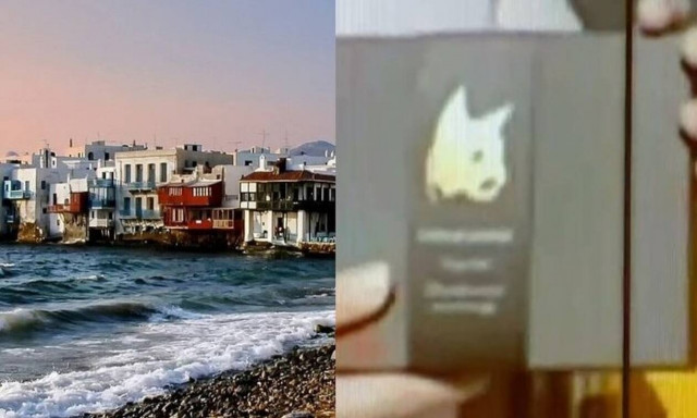 Μύκονος: Ο ακριβότερος καφές είναι από περιττώματα γάτας και σερβίρεται σε χρυσό ποτήρι