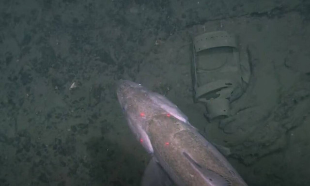 Ναυάγιο: Ο «Τιτανικός της Σουηδίας» βρέθηκε... κατά λάθος μετά από έναν αιώνα στο βυθό