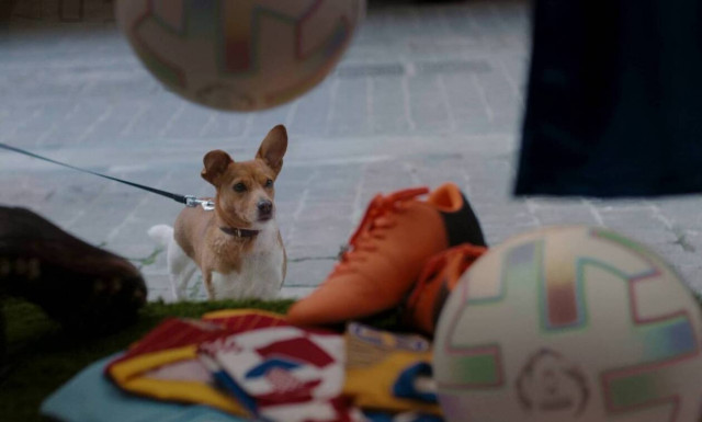 O πιο πιστός φίλος του Euro είναι ο... Rex της Stoiximan (Video)