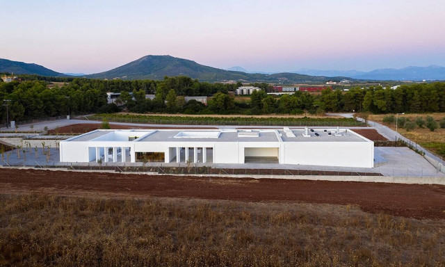 Η ιστορία της αποτέφρωσης στην Ελλάδα: Πώς ξεκίνησε από την υπόσχεση σε έναν φίλο