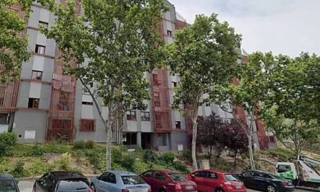 Φρίκη στην Ισπανία: Γυναίκα πέθανε από κορονοϊό και την… έφαγαν οι γάτες της