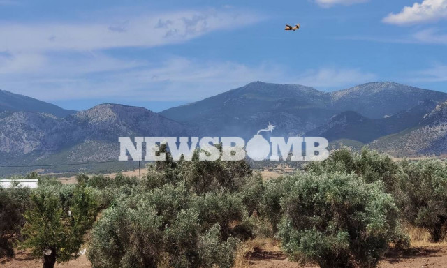 Φωτιά στα Μέγαρα: Λήξη συναγερμού - Δεν κινδύνευσαν σπίτια