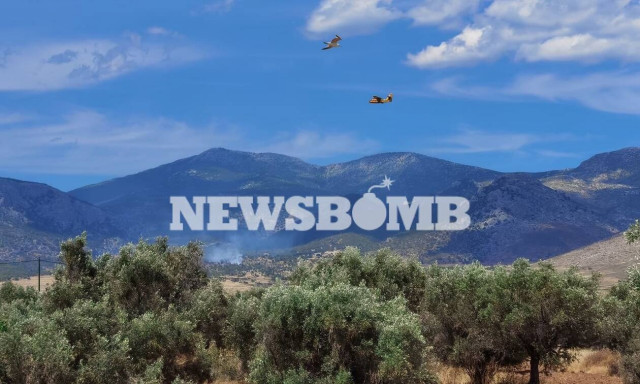 Φωτιά ΤΩΡΑ: Πυρκαγιά σε δασική έκταση στα Μέγαρα