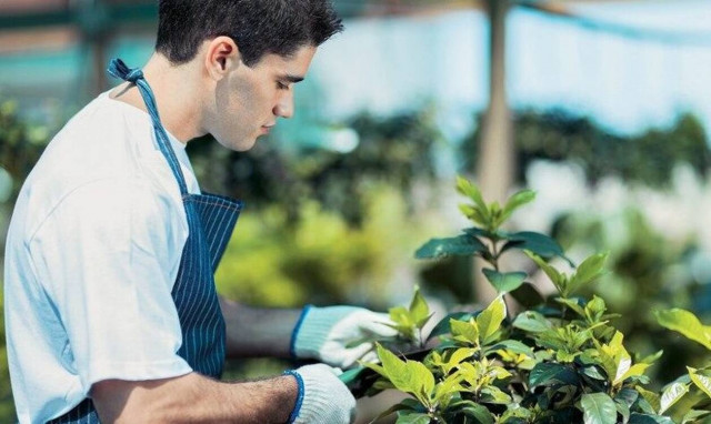 ΕΛΓΑ: Προσλήψεις 140 γεωπόνων - Πότε λήγει η προθεσμία