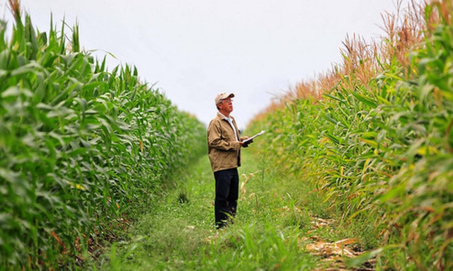 ΕΛΓΑ: Τέλος χρόνου για τις αιτήσεις θέσεων εργασίας γεωπόνων