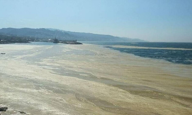 Συναγερμός στο Αιγαίο: «Βλέννα» έχει γεμίσει τη θάλασσα του Μαρμαρά - Μεγάλη ανησυχία