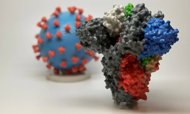 Κορονοϊός: Εμβόλια και ανοσία με ευρεία εξουδετερωτική δράση – Η μετάλλαξη «Eek»