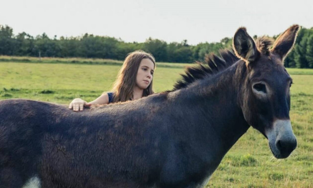Γιατί οι γυναίκες αγάπησαν ξαφνικά το γάλα γαϊδούρας