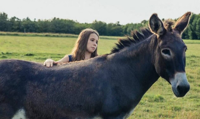 Γιατί οι γυναίκες αγάπησαν ξαφνικά το γάλα γαϊδούρας