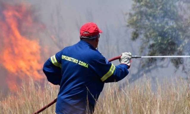 Πυρκαγιά στην περιοχή της Αρκαδίας
