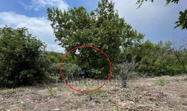 Τροχαίο στην εθνική οδό Λαμίας - Άμφισσας - Αυτοκίνητο εξετράπη της πορείας και κατέληξε στα δέντρα