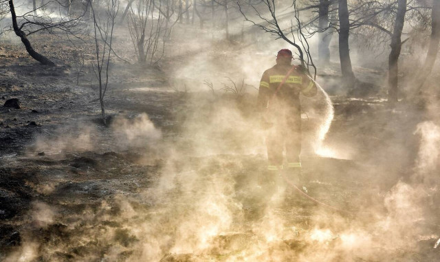 Φωτιά ΤΩΡΑ: Συναγερμός στο Λαύριο