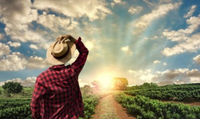 Αγρότες: Αυτές είναι οι 10 ηλεκτρονικές υπηρεσίες του e-ΕΦΚΑ