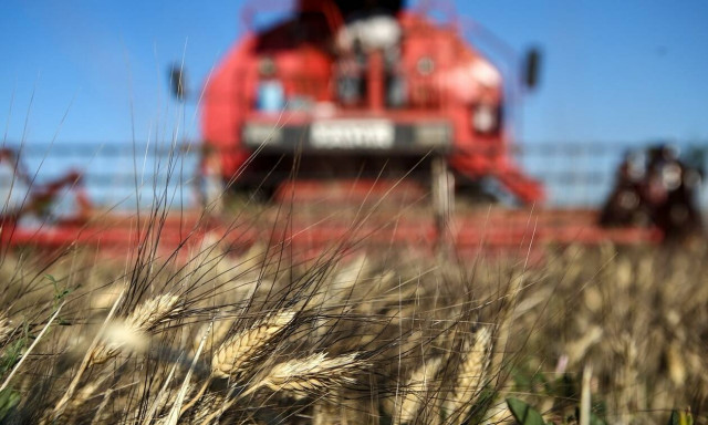 ΣΥΓΚΟΜΙΔΗ ΤΟΥ ΣΙΤΑΡΙΟΥ