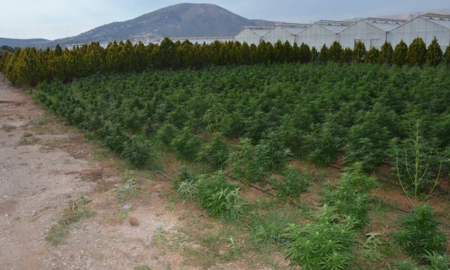 «Έδρα» ναρκεμπόρων στην Ανάβυσσο – Η εταιρία-«βιτρίνα», τα 26 εκατ. ευρώ και η στρατιωτική οργάνωση