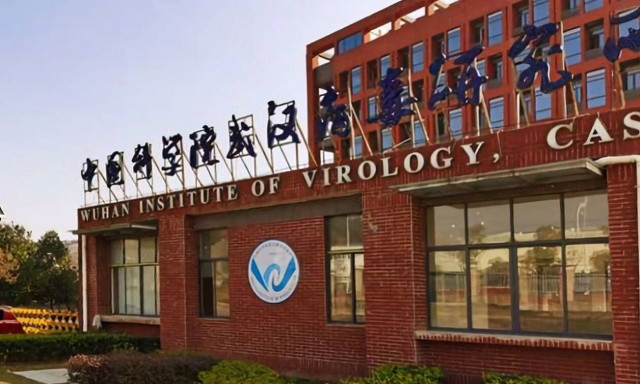 Κορονοϊός: Η ιολόγος που ανακάλυψε τον ιό μιλάει για πρώτη φορά - «Δεν είναι εργαστηριακός»