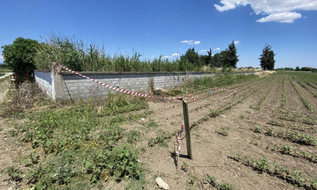 Δολοφονία Κατερίνη