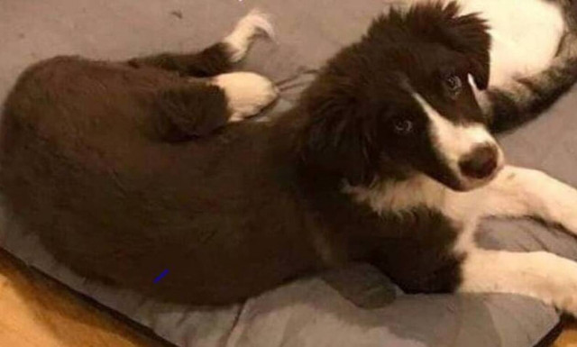 Γλυκά Νερά: Θλίψη και για τη Ρόξι - Την έσωσε η Καρολάιν και τη σκότωσε ο Αναγνωστόπουλος