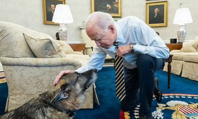 Θλίψη στον Λευκό Οίκο: Πέθανε ο σκύλος της οικογένειας Μπάιντεν - Το μηνύμα της πρώτης κυρίας