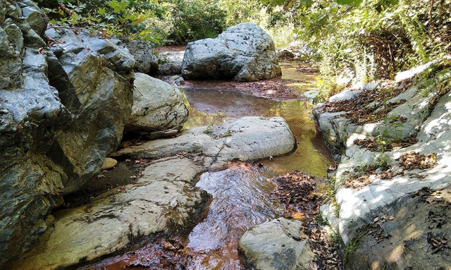 Η κολυμπήθρα της Λάρισας που «βαφτίζει»… θαρραλέους