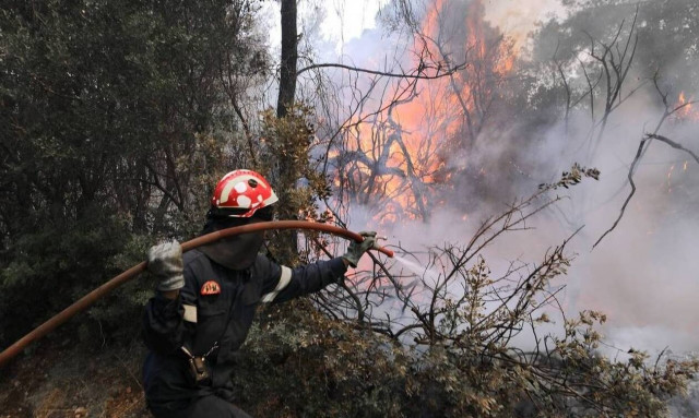 Φωτιά ΤΩΡΑ στη Ραφήνα