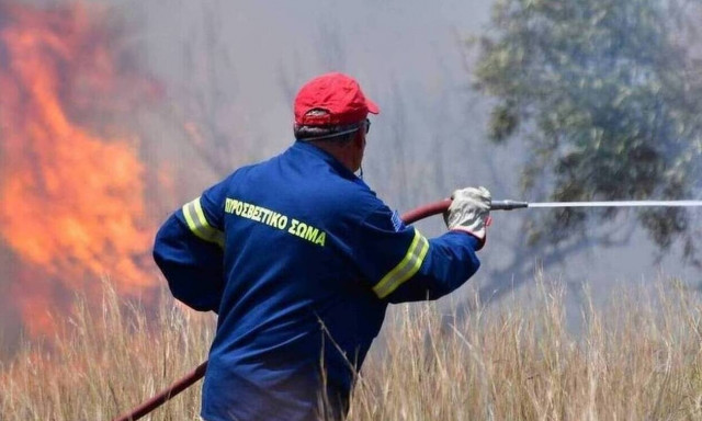 Φωτιά ΤΩΡΑ στην Ηλεία