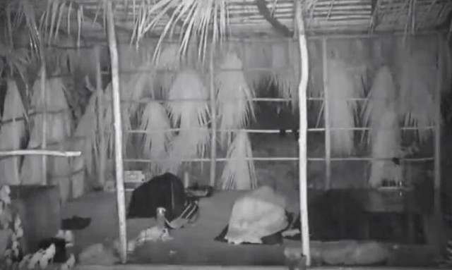 Survivor: «Βιβλική» καταστροφή στον Άγιο Δομίνικο (video)