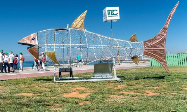 Σάββας: Ο «καρχαρίας» που «τρώει» πλαστικά στον Άλιμο