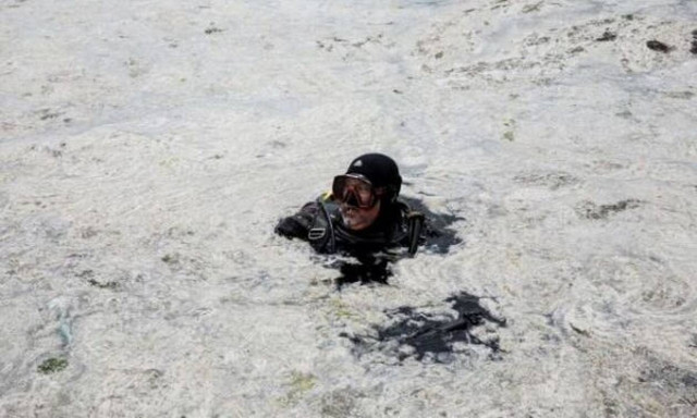 Στη Λήμνο επιθεωρητές Περιβάλλοντος του ΥΠΕΝ για την αντιμετώπιση του φαινομένου της βλέννας