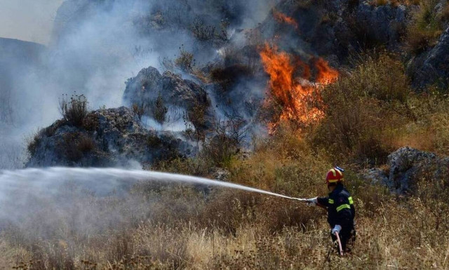 Φωτιά στο Άνυδρο Τριφυλίας