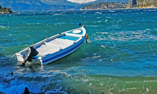 Ψαράς στο Αλεποχώρι έπιασε σκυλόψαρο 300 κιλών δίπλα σε δελφίνια!