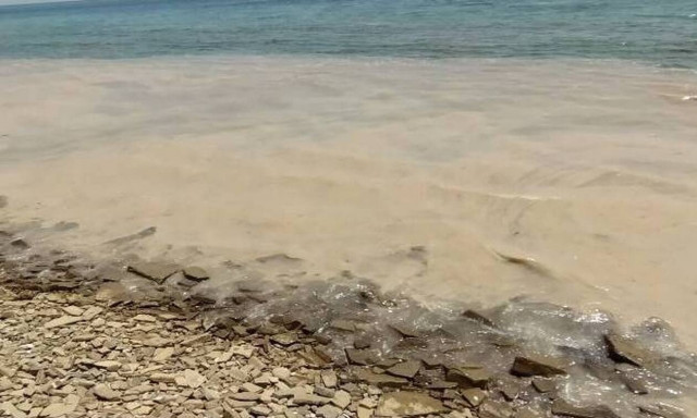 Βλέννα Λήμνος