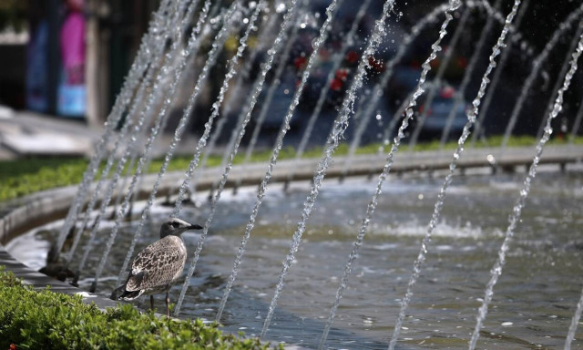 Heatwave to start subsiding from Monday, meteo forecasts
