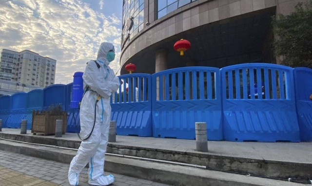 Έρευνα: Αρχαίος κορονοϊός είχε εμφανιστεί πριν 25.000 χρόνια στην Ασία