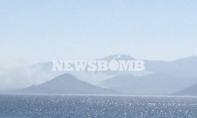 Φωτιά στην Πάρο: «Μάχη» με τις φλόγες δίνουν οι πυροσβέστες – Αλλάζει συνεχώς κατεύθυνση το μέτωπο