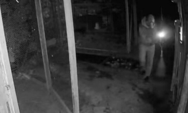 Ηράκλειο: Συνελήφθη ο viral κλεφτοκοτάς - Κατηγορείται για δύο «επισκέψεις» σε ξένα κοτέτσια