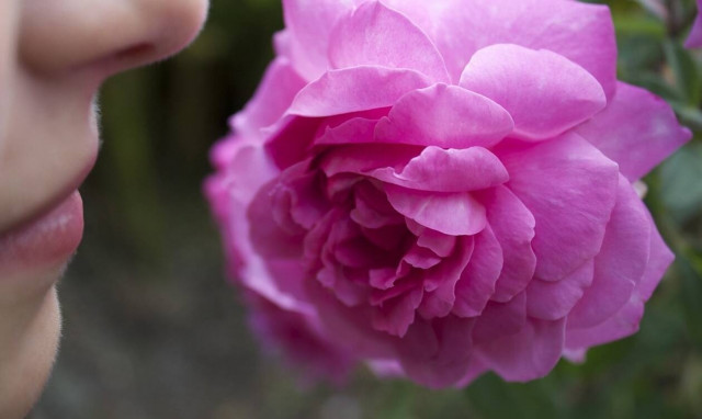 Κορονοϊός: Πότε επανέρχεται η όσφρηση μετά τη λοίμωξη COVID-19