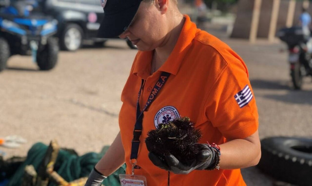 Θεσσαλονίκη: Ο βυθός του Θερμαϊκού έκρυβε από καρότσια σούπερ μάρκετ μέχρι… πιάτα από σερβίτσιο