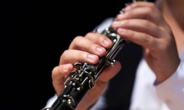 Tα κλαρίνα και η... Βουλή