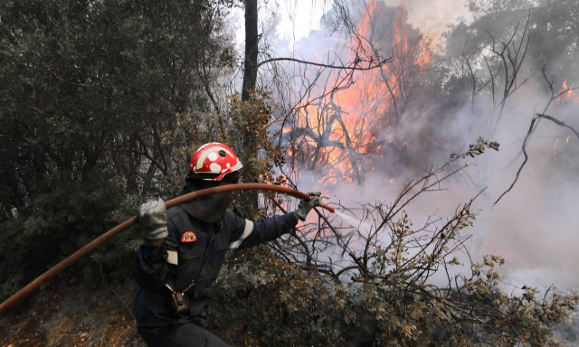Φωτιά στην Μονεμβασιά - Καίει δασική έκταση