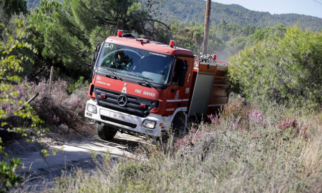 Φωτιά στη Λαμία - Καίει δασική έκταση