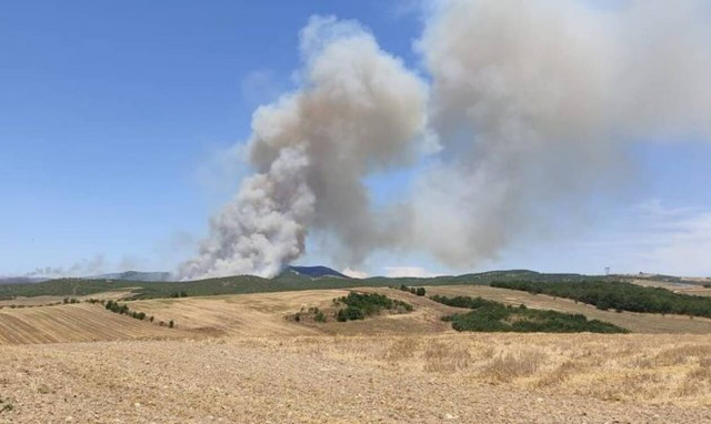 Φωτιά στη Λάρισα: Μεγάλης έκτασης το πύρινο μέτωπο - Ενισχύθηκαν οι δυνάμεις της Πυροσβεστικής