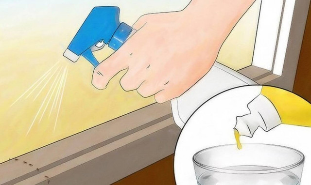 Τρεις φυσικοί τρόποι για να διώξετε τα μυρμήγκια