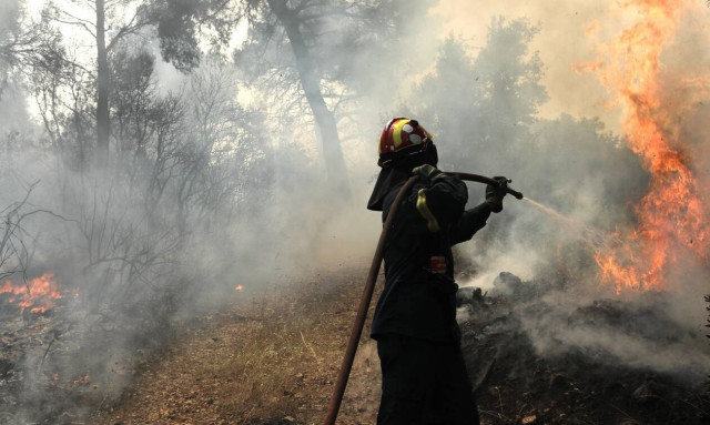 Θεσσαλονίκη: Υπό μερικό έλεγχο η φωτιά στον Λαγκαδά