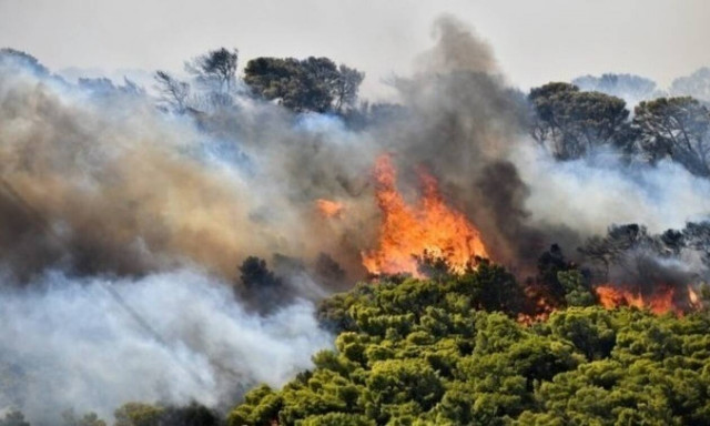 Φωτιά τώρα: Πύρινα μέτωπα σε Ριτσώνα και Μέθανα