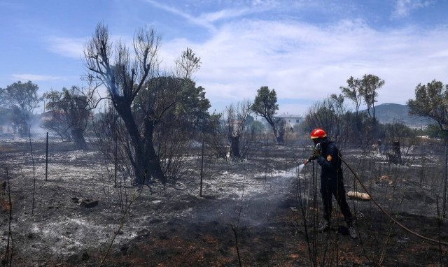 Φωτιά ΤΩΡΑ στο Μαρκόπουλο Ωρωπού