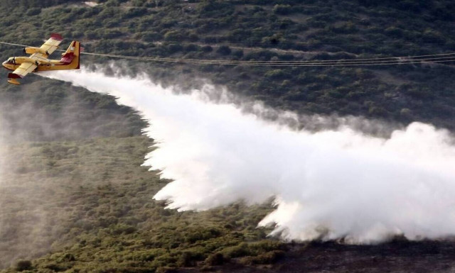 Φωτιά ΤΩΡΑ στη Χιόνα Αχαΐας