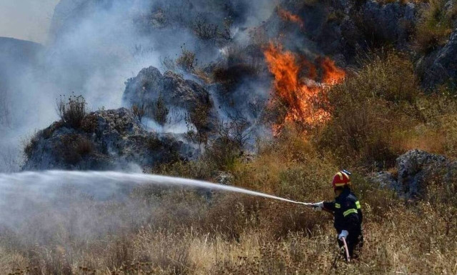 Settlement evacuated near Soufli after fire breaks out in pine forest