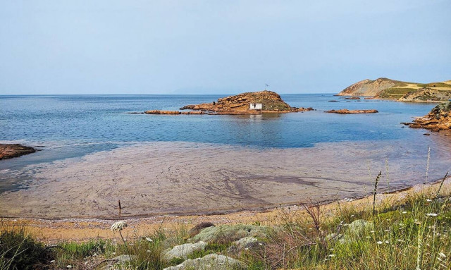 Λήμνος: Ενθαρρυντικά τα στοιχεία για τη «βλέννα» στις παραλίες – Δεν είναι τοξική, έχει διαλυθεί